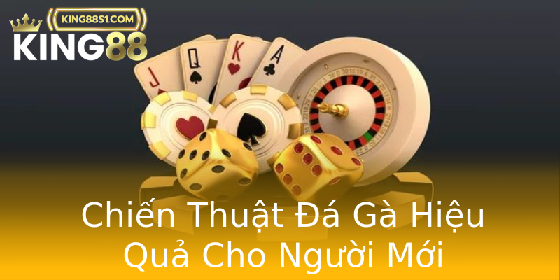 Chiến Thuật Đá Gà Hiệu Quả Cho Người Mới