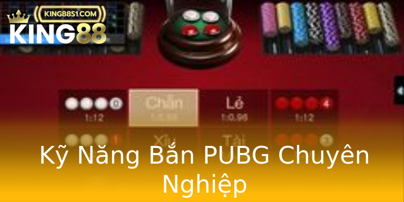 Kỹ Năng Bắn PUBG Chuyên Nghiệp